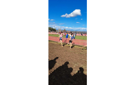 Championnat de France de cross-country 